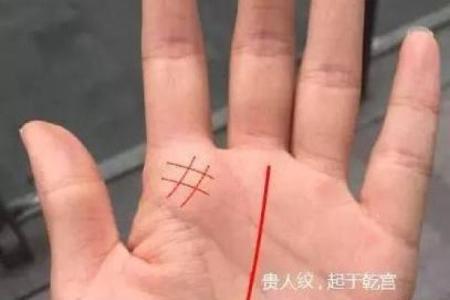 揭秘手相奥秘：事业线女大全图解，让你财运亨通，事业有成