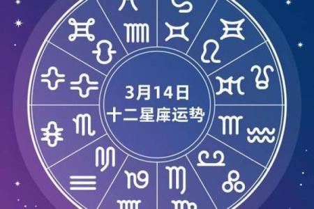 生肖月柱，揭秘你的最佳伴侣