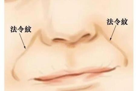 破解面相之谜：法令纹透露的秘密，揭秘你的命运走向