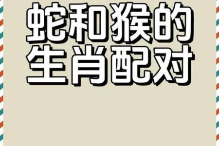 猴年牛月，天生一对，揭秘生肖相配秘籍