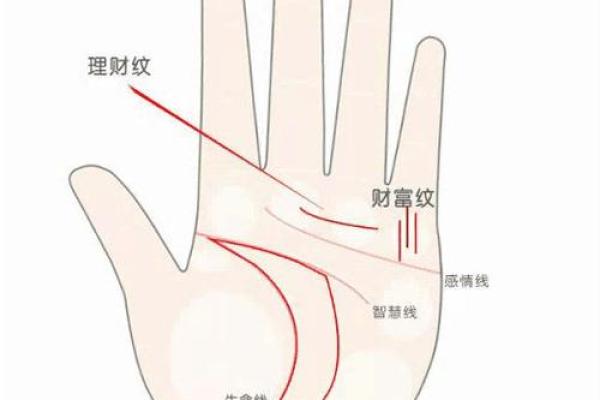 揭秘佛眼纹手相的神秘力量，掌握财运人生的秘密钥匙