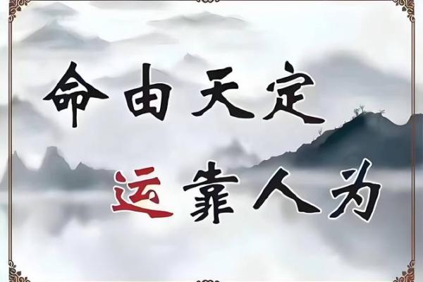 八字中有两个七杀，事业与婚姻走向如何？