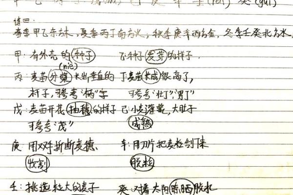 日主天干为土，命格的人该如何趋吉避凶