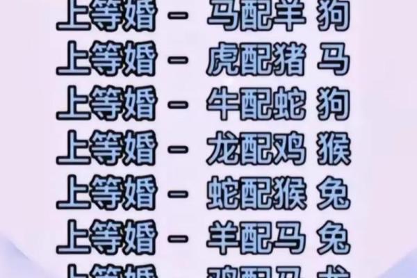 生肖配对指数大排行，找出你的命中注定另一半