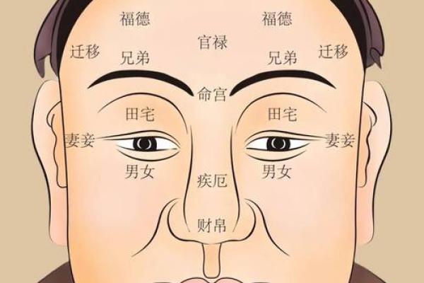 识人如神：揭秘面相虫，一招看透人心