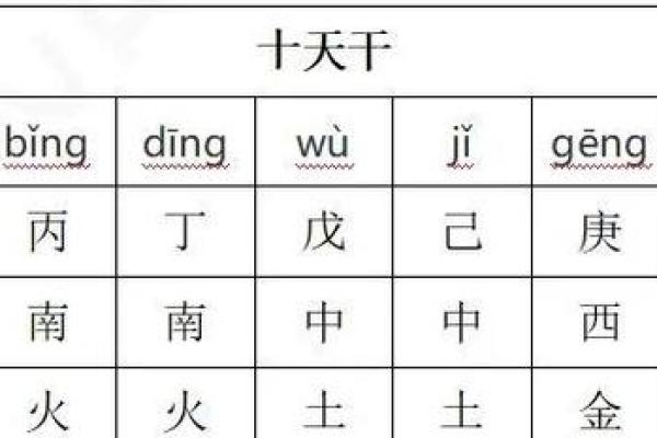 揭开天干己乙的神秘面纱，掌握命理关键