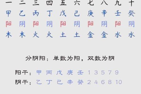 揭开天干己乙的神秘面纱，掌握命理关键