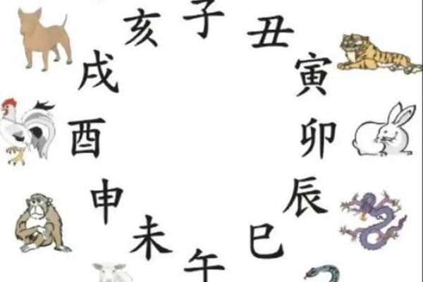 智慧生肖，揭秘十二生肖背后的智慧密码
