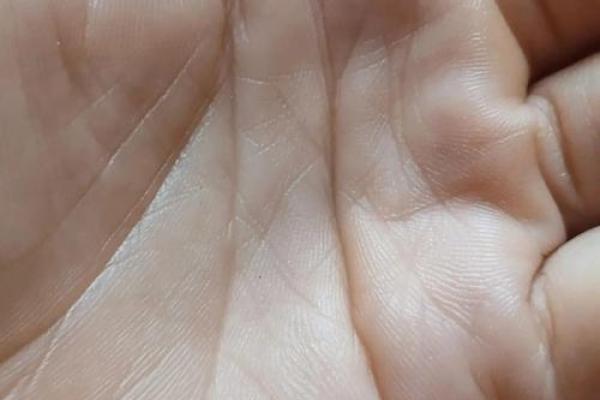 揭秘：不动产手相秘密，轻松识别财运亨通之人