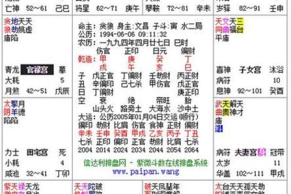 一步步教你解读紫微斗数排盘，掌握人生方向