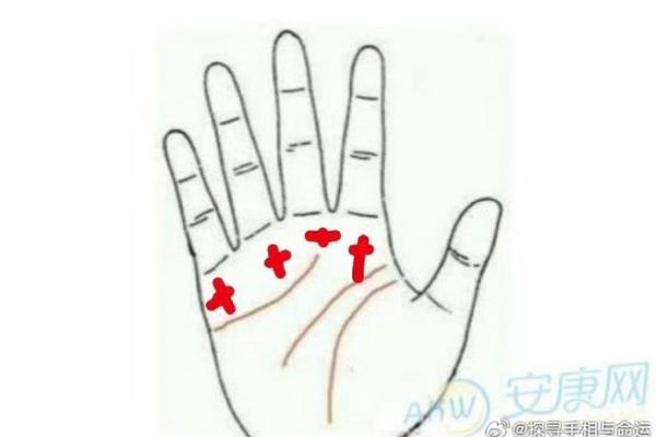 揭秘手相中太阳线的神奇奥秘，女人手相太阳线揭示财运与运势