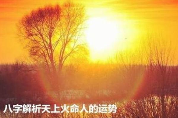 南方火命：揭秘命理中的炽热之魂