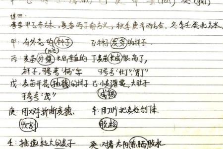 日主天干为土，命格的人该如何趋吉避凶