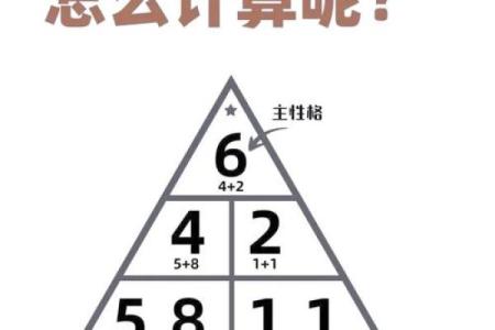 西方数字与命理学的奇异关联