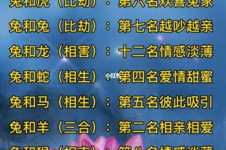 生肖配对指数大排行，找出你的命中注定另一半