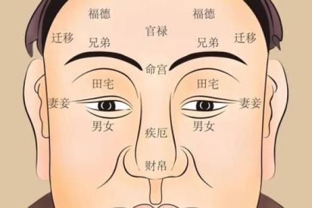 识人如神：揭秘面相虫，一招看透人心
