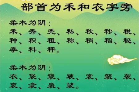 益字五行属什么解析