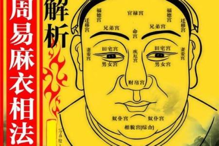 一眼识人：揭秘面相背后的命运密码，让你瞬间洞察人心