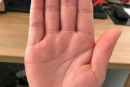 揭秘：不动产手相秘密，轻松识别财运亨通之人