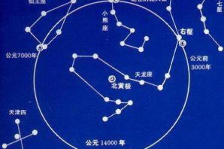 十二星座鸟儿传奇：揭秘每个星座的独特天空精灵