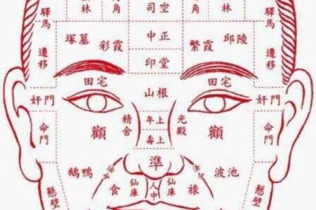 面相揭秘：12面相绝技，一眼看透命运转折点