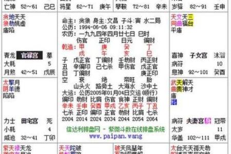 一步步教你解读紫微斗数排盘，掌握人生方向