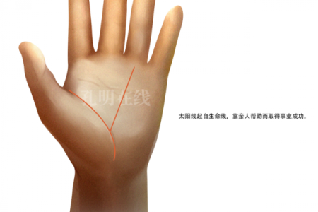 揭秘手相中太阳线的神奇奥秘，女人手相太阳线揭示财运与运势