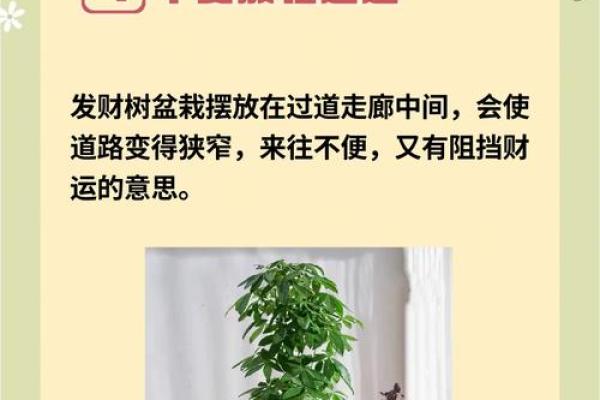 破解家居风水禁忌，轻松提升运势秘籍大公开
