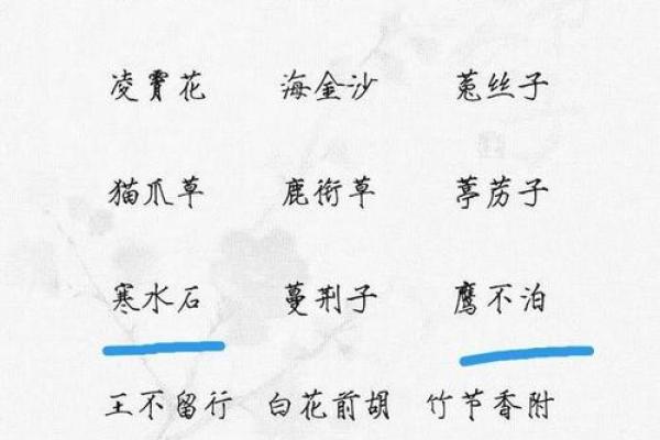 取个好名字，让人印象深刻的秘诀就在这里