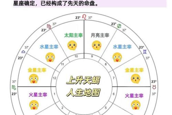 宿排盘详解：从星座到运势的全方位解析