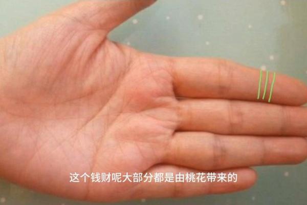 揭秘无名指三豹纹手相，揭秘你的财运和运势
