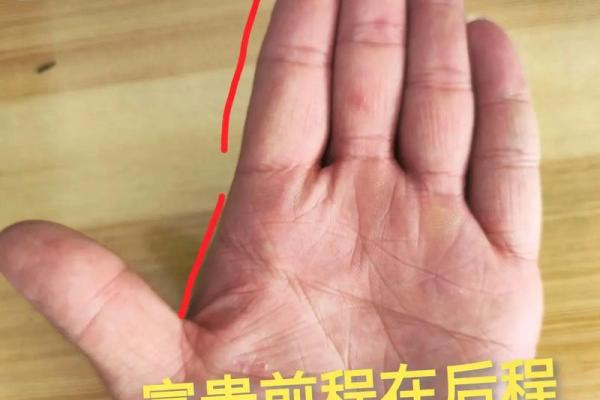 揭秘无名指三豹纹手相，揭秘你的财运和运势