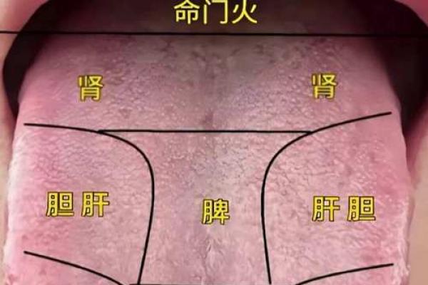 口舌痣相揭秘：女性运势中的独特符号