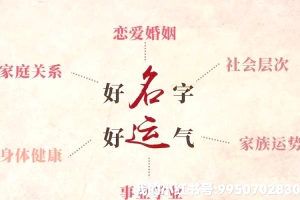 面相揭秘：血型背后的命运密码