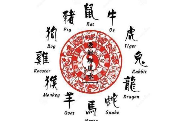 属猪五行是什么揭秘，背后的奥秘让你惊讶