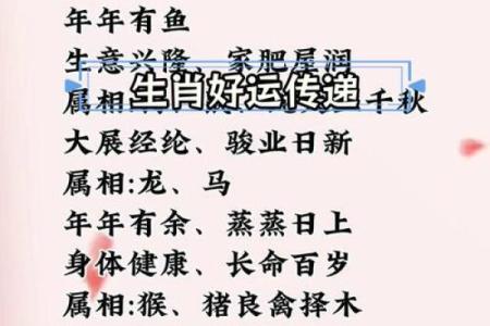 十二生肖风水秘籍：财运亨通、福星高照的秘诀