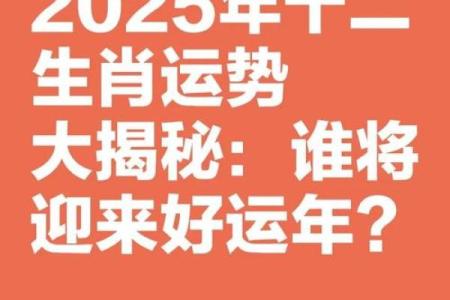 生肖宝典：揭秘生肖运势，解锁你的财运人生