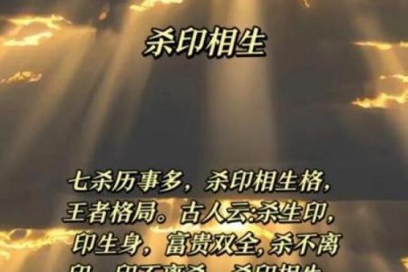 八字揭秘：网红背后的命理学大解析
