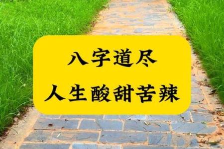 以八字为镜，洞察人生的每一层面