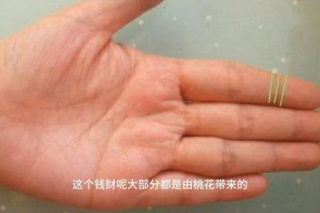 揭秘无名指三豹纹手相，揭秘你的财运和运势