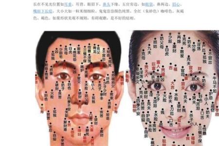 痣相大全：揭秘痣的奥秘，助你读懂命运