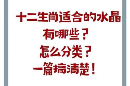 怨生肖之谜：揭秘你的生肖宿命
