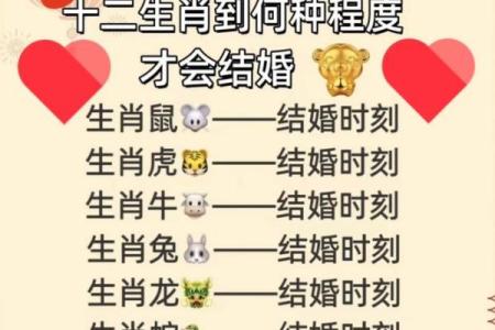生肖气运：揭秘十二生肖运势大揭秘