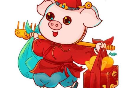 属猪五行是什么揭秘，背后的奥秘让你惊讶