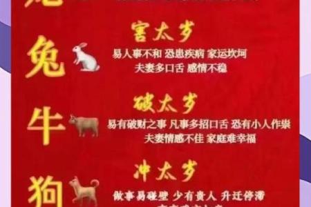 生肖安：2024年运势大揭秘，财富亨通，事业腾飞