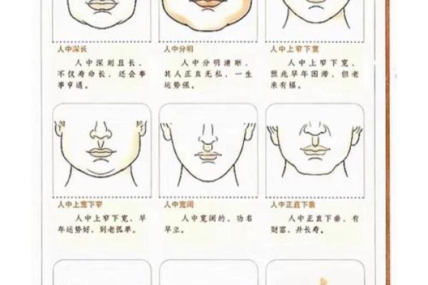 从人中长宽看你的命运走向，命理分析大揭秘