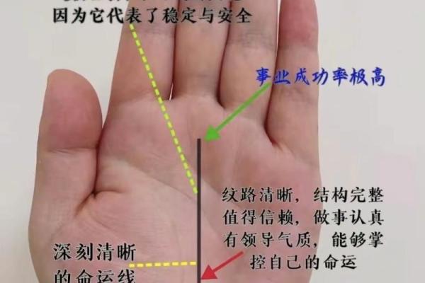 右手手相揭秘：揭秘男性魅力与财运的秘密