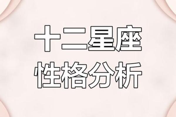 十二星座大揭秘：你的命运密码，我来帮你解