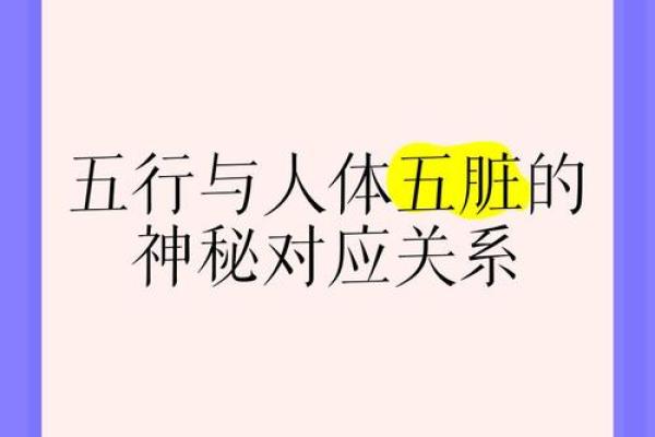 医疗行业五行属什么？揭开神秘面纱