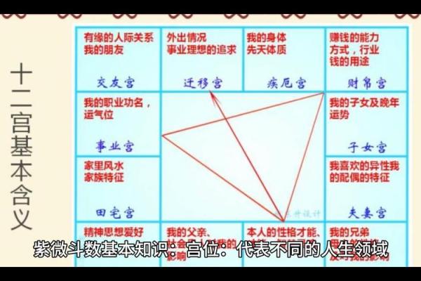 紫微斗数排盘揭示你未来的爱情走向